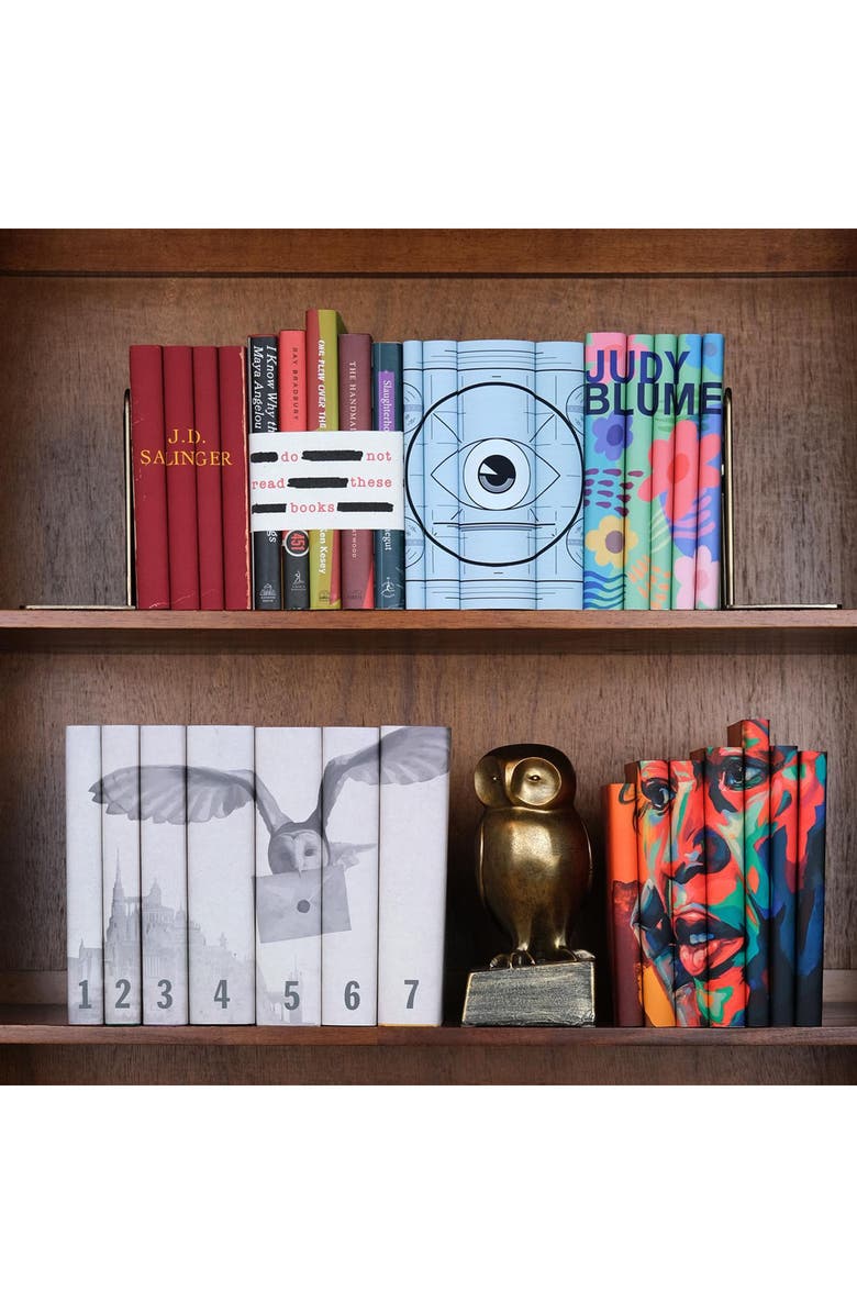 Juniper Books Classic Banned Books Set, Alternate, color, Multi