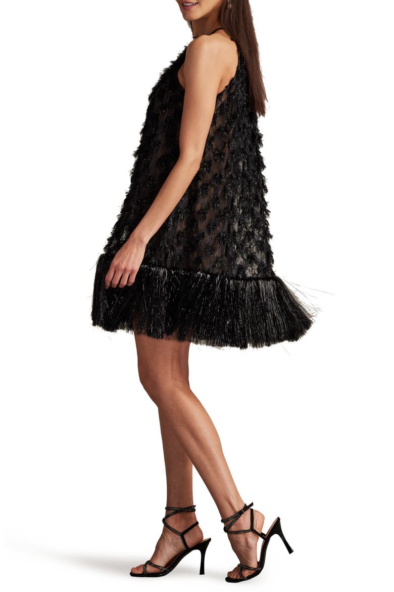 Metallic Fringe Sleeveless Trapeze Dress, Alternate, color, BLACK