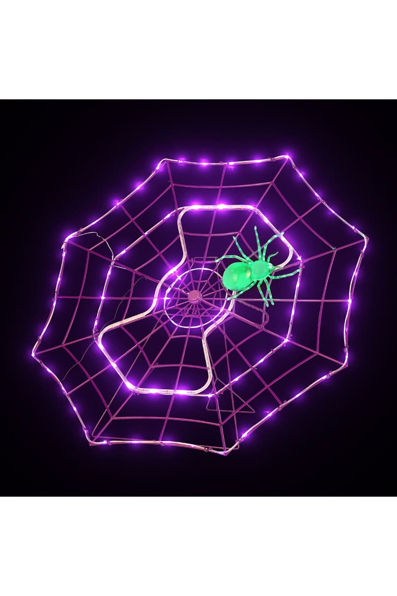 4 ft. Outdoor Animated Spider Web - Purple Web, Alternate, color, Purple