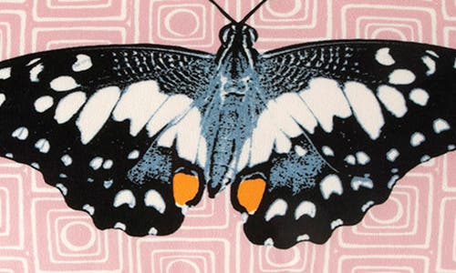 NOVOGRATZ NOVOGRATZ UTICA BUTTERFLY BREAKFAST ACCENT PILLOW