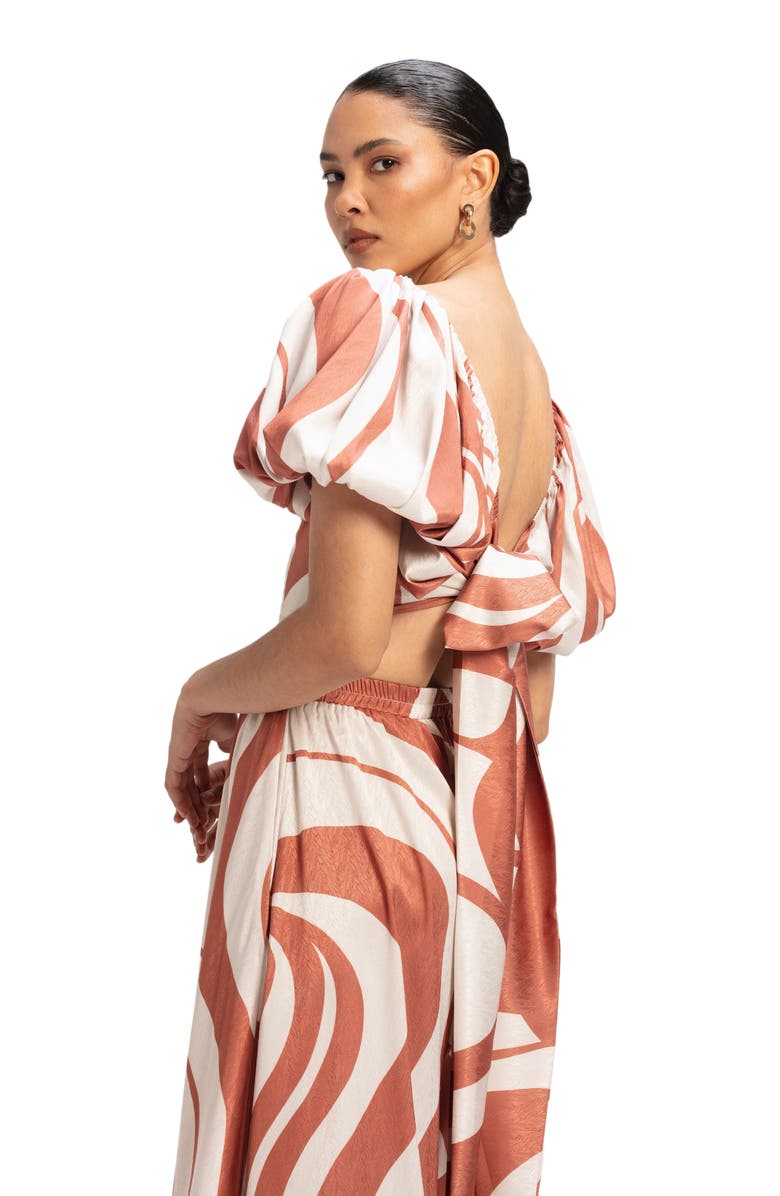 DIARRABLU Zany Top, Alternate, color, Luze Rust