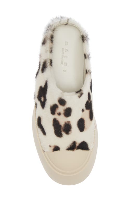 Marni Pablo Leather Mule Sneaker In Gray
