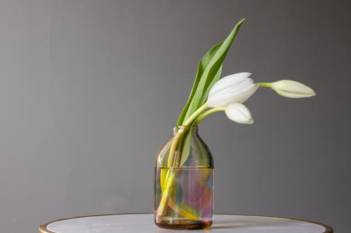 Glassybaby Bloomette In Multi