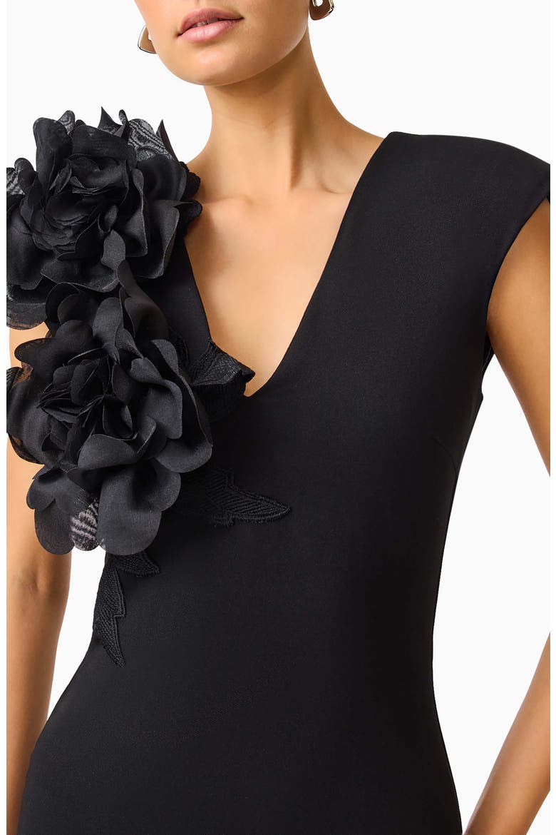 Zahara Floral Sleeveless Gown, Alternate, color, BLACK/ BLACK