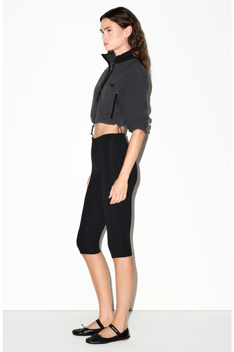 Shrunken Zip Jacket, Alternate, color, ASH