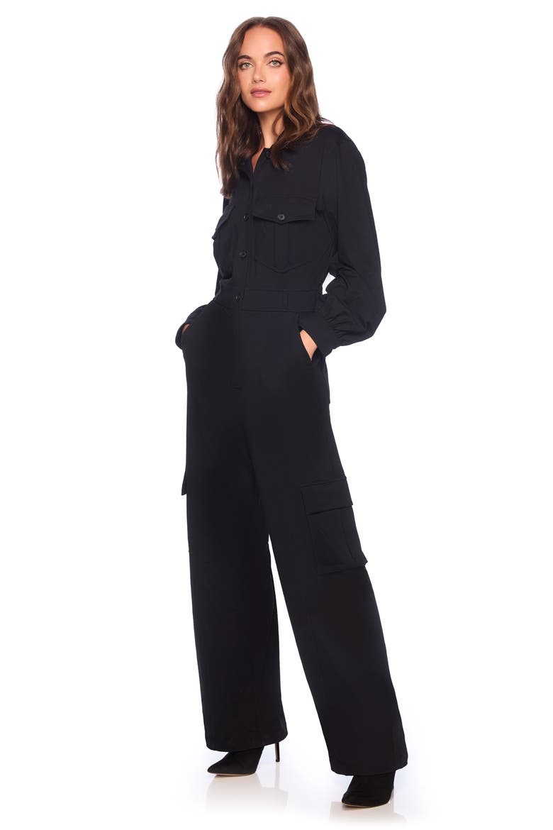 Long Sleeve Cargo Jumpsuit, Alternate, color, BLACK