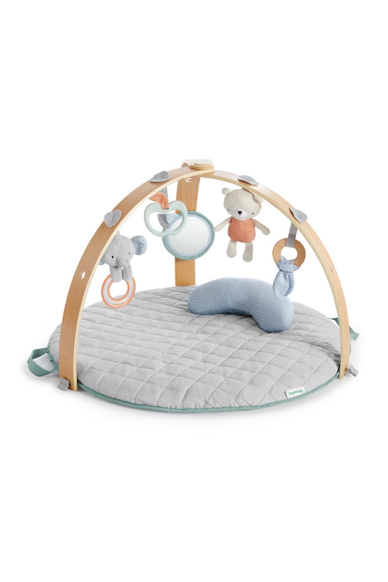 Cozy Spot Duvet Activity Gym with Self-Storage, Main, color, MULTICOLORED