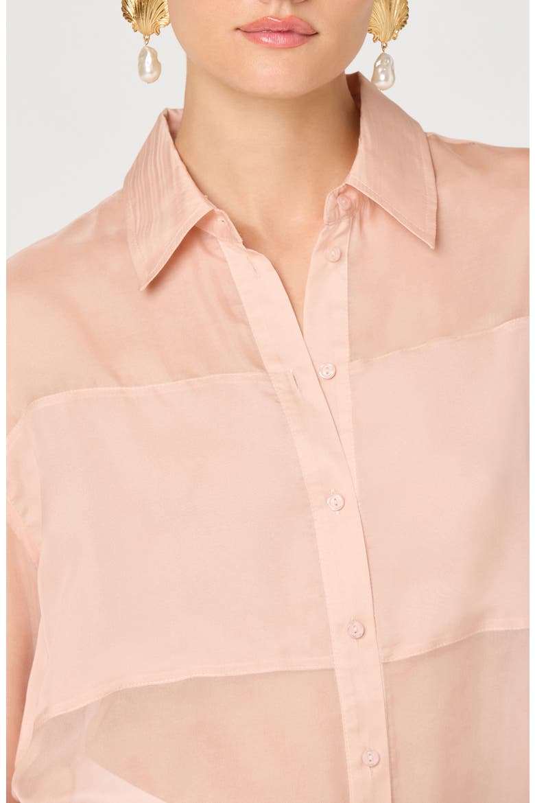 Evie Semisheer Long Sleeve Button Front Shirt, Alternate, color, BLUSH