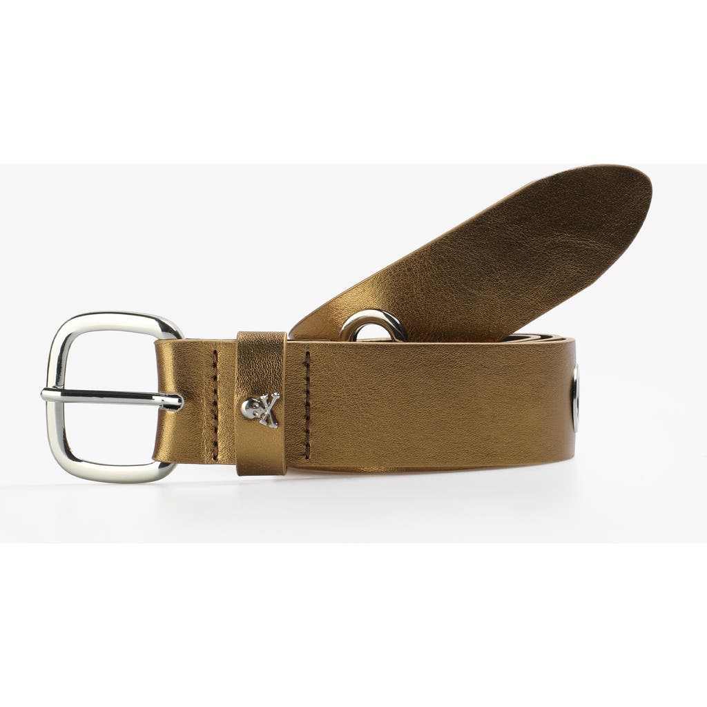 Scalpers Eyelet Belt In Brown