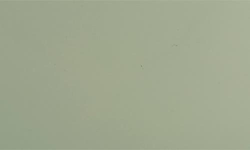 Portofino Candles Mahogany Moss & Teakwood Apothecary Large Jar Candle In Multi