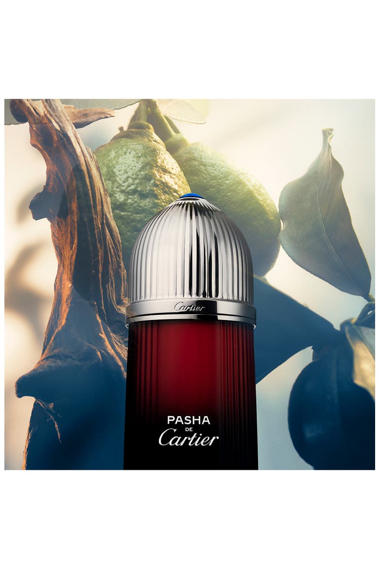 Pasha de Cartier Sport Edition Fragrance, Alternate, color, NO COLOR