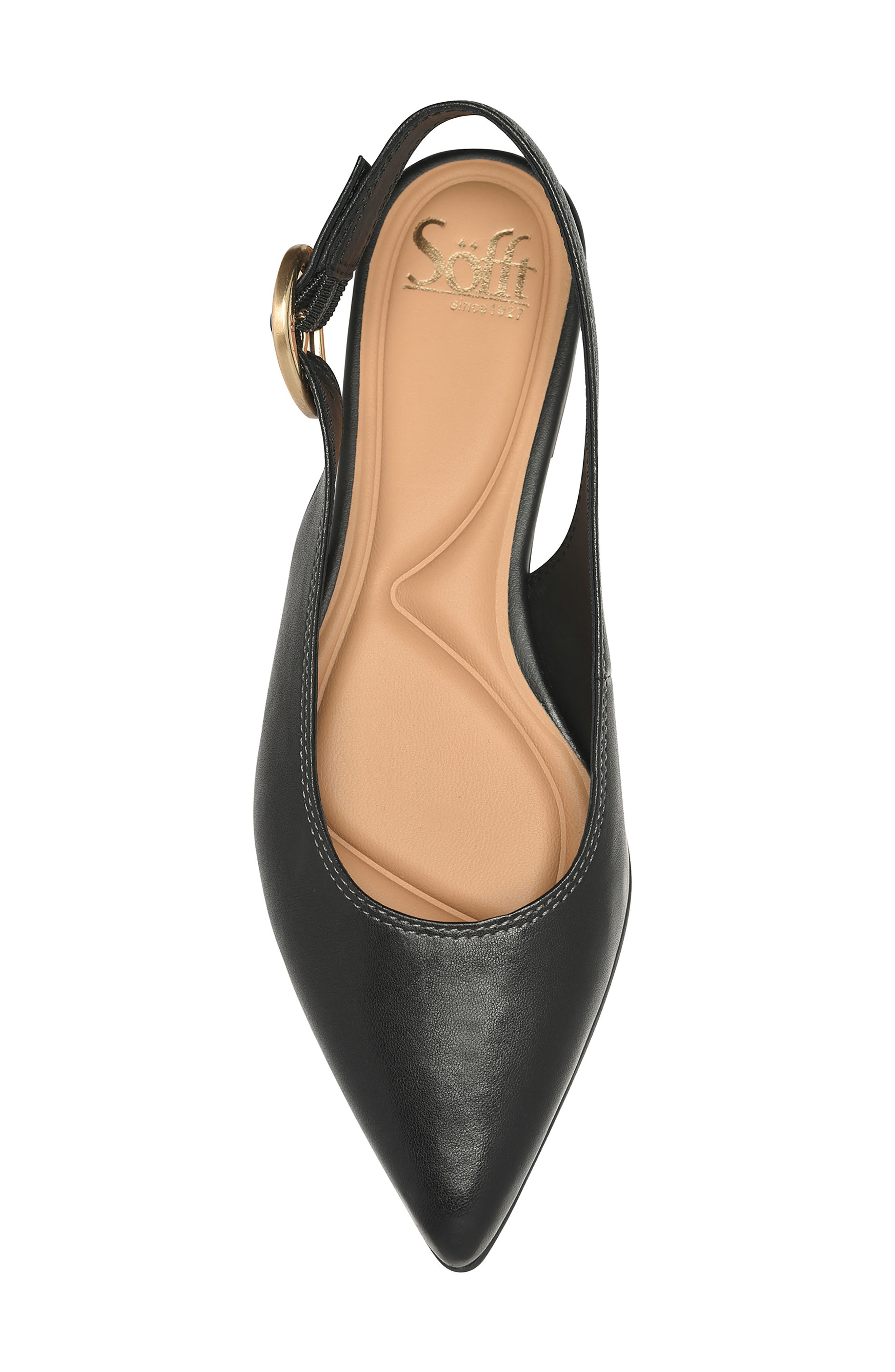 Marcella Slingback Pointed Toe Flat, Alternate, color, BLACK
