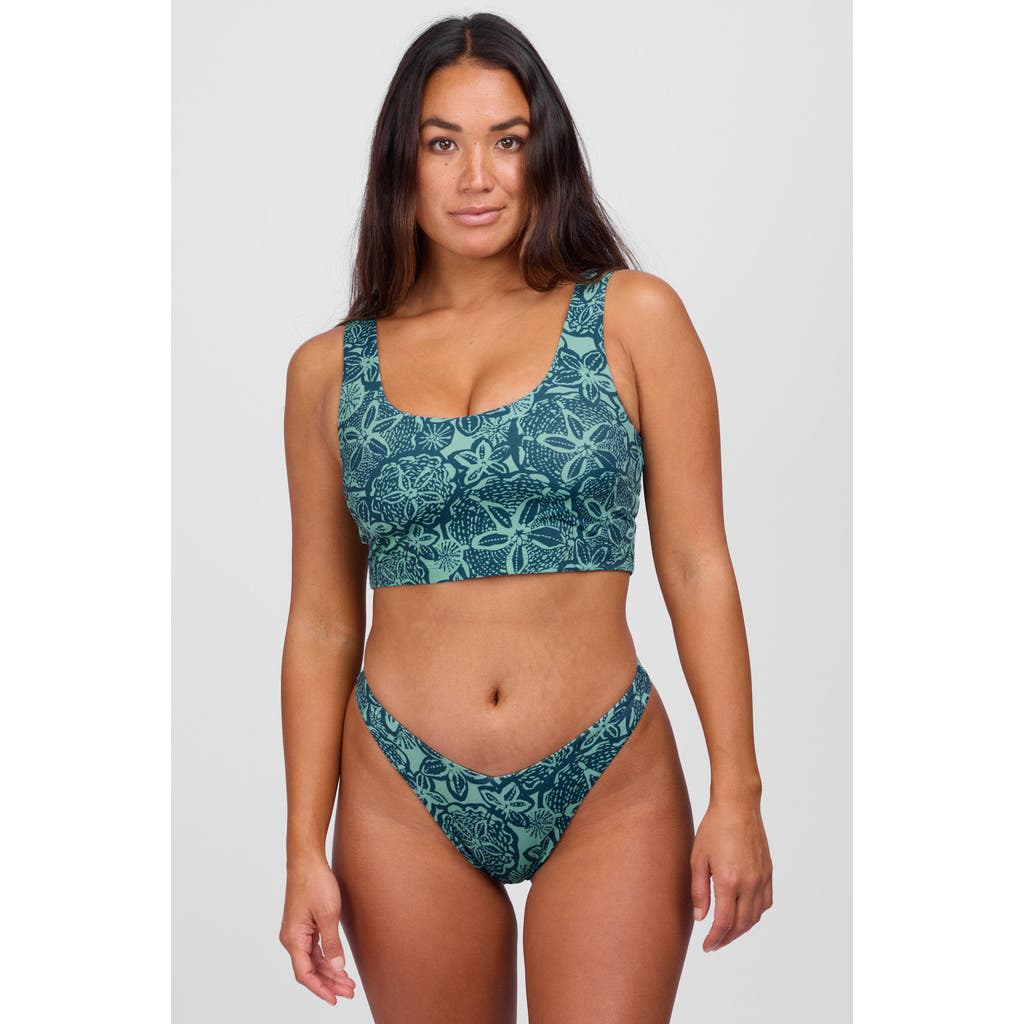 Shop Jolyn Jessica Bikini Bottom