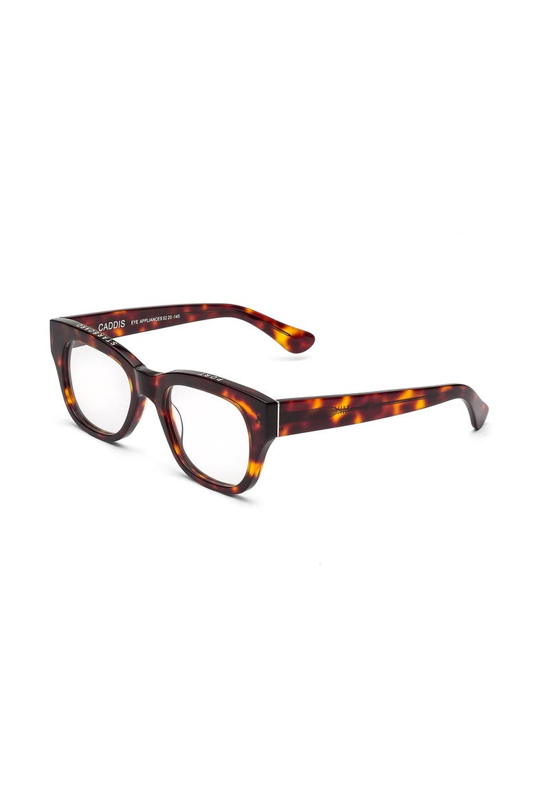 Miklos | Reading Glasses, Alternate, color, Turtle