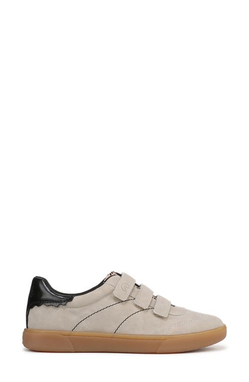 Blowfish Malibu Tucson Sneaker In Brown