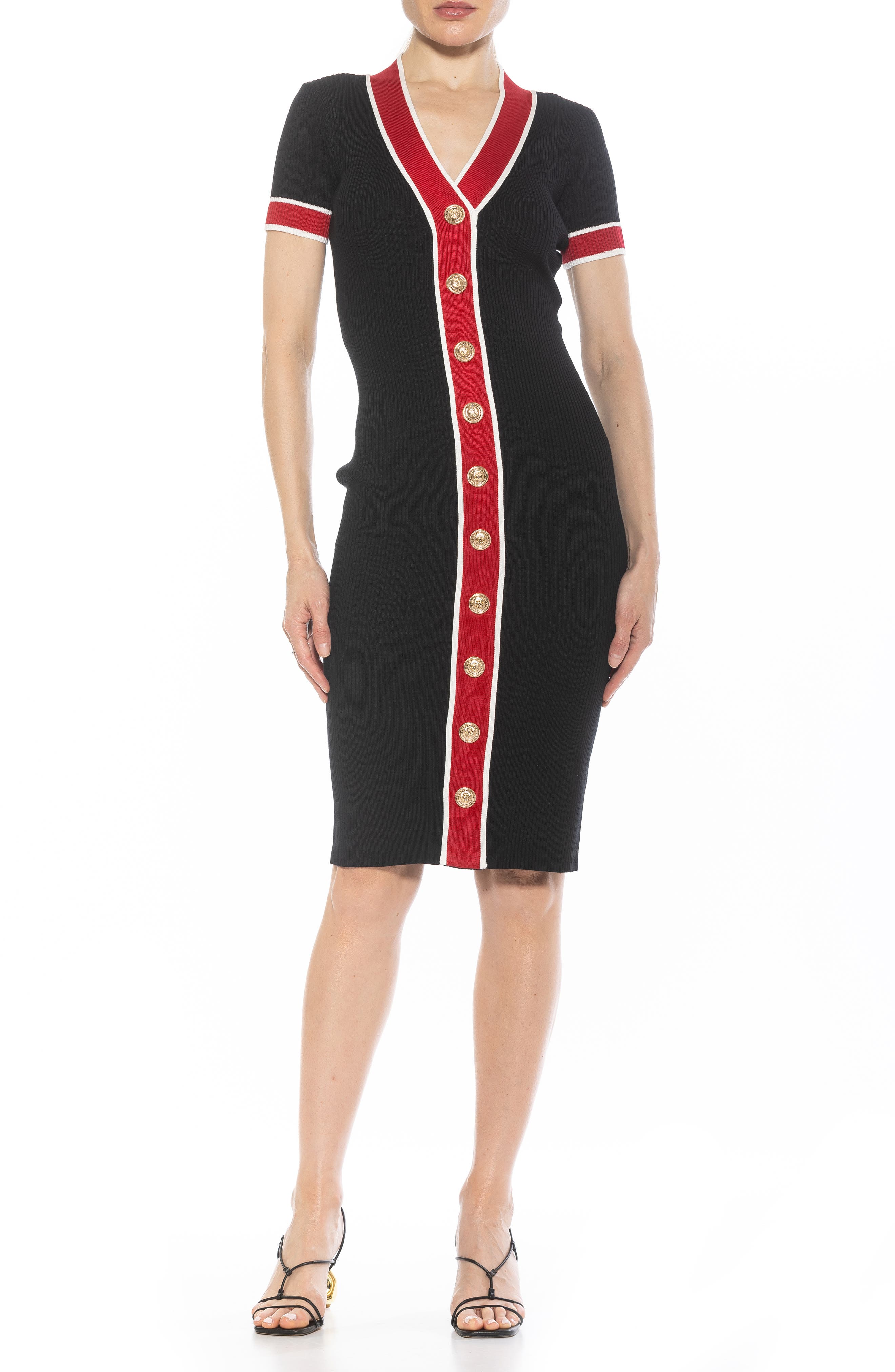 Alexia Admor Otto V-neck Short Sleeve Ribbed Sweater Dress