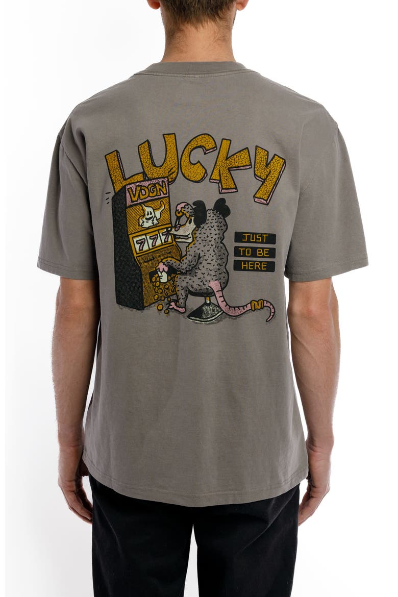 Caesars Possum Heavyweight Tee, Alternate, color, Faded Grey