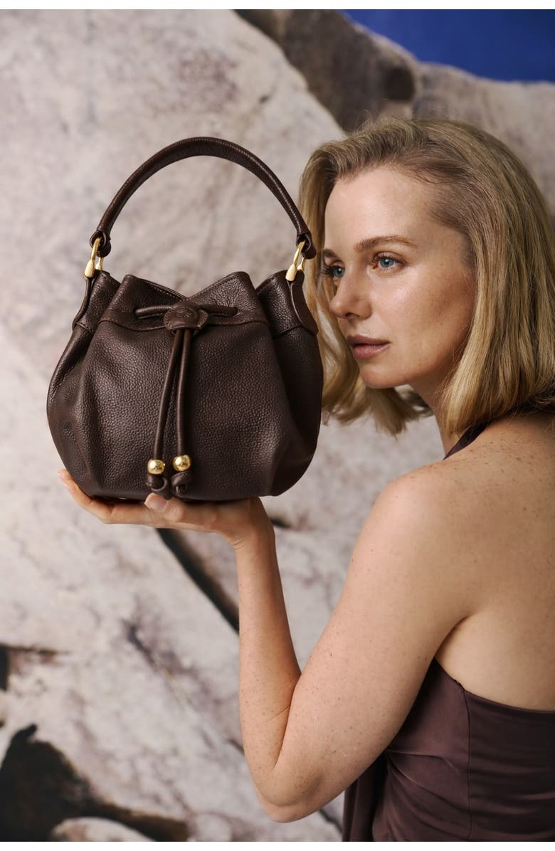 ROSZUAR Sienne Luxury Bucket Handbag, Alternate, color, Chocolate