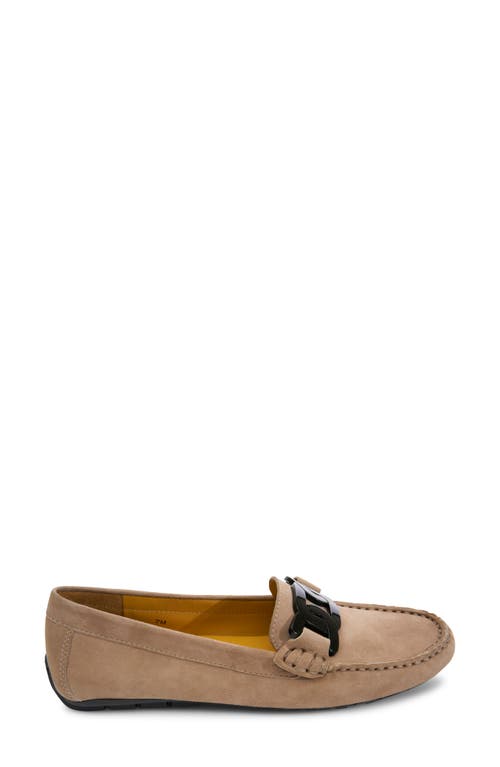 Vaneli Aiker Driving Loafer In Taupe Suede