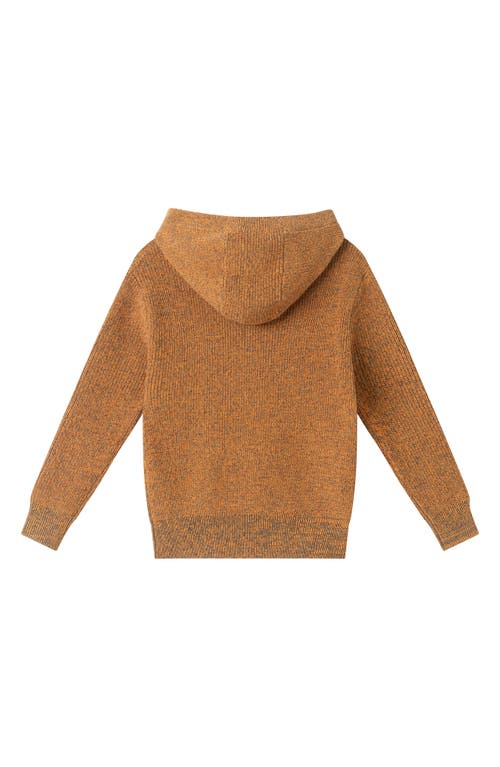 Andy & Evan Jack O' Lantern Appliqué Cotton Graphic Sweater Hoodie In Brown