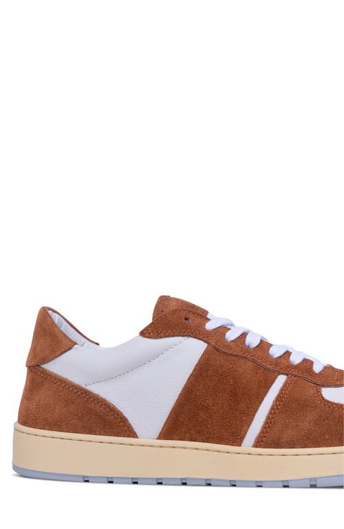 Collegium Pillar Destroyer Low Top Sneaker In Multi