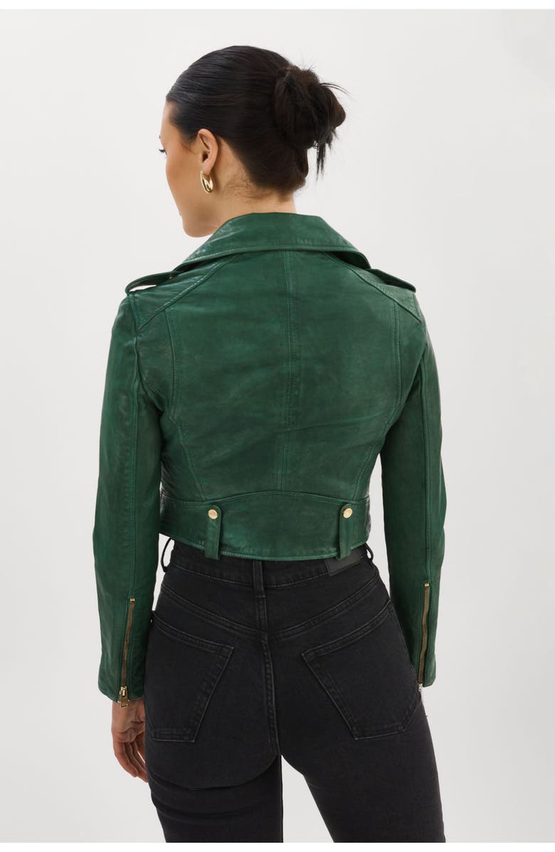 LAMARQUE Ciara | Cropped Leather Biker Jacket, Alternate, color, Bottle Green