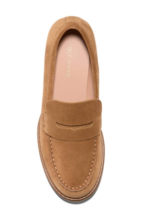 Cole Haan Camea Lug Sole Penny Loafer In Chestnut Golden