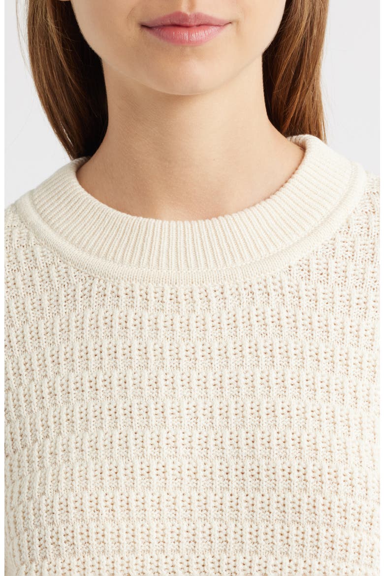 Collie Organic Cotton Crewneck Sweater, Alternate, color, GOSSAMER