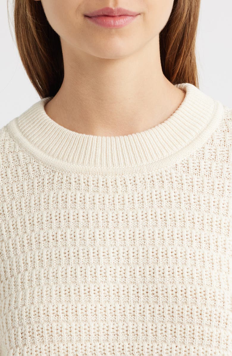 Reformation Collie Organic Cotton Crewneck Sweater, Alternate, color, Gossamer