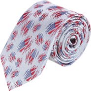 Trafalgar Stars & Stripes Secret Silver Silk Novelty Necktie