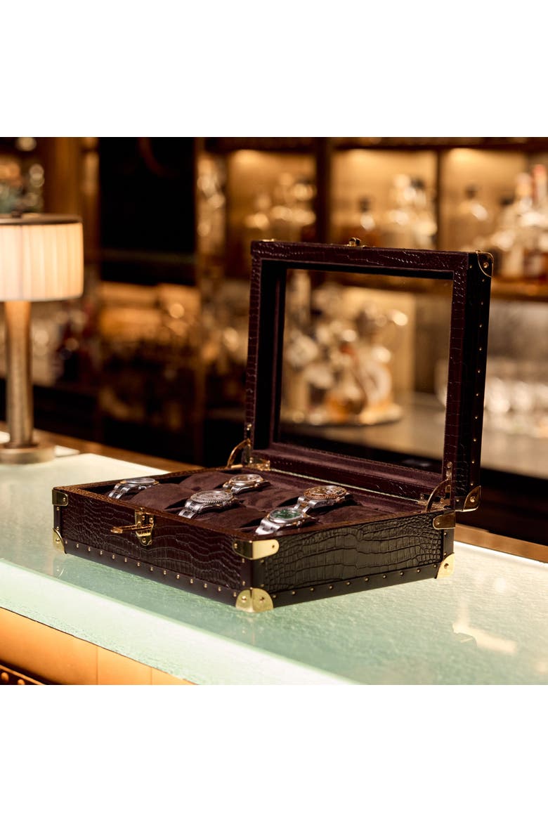 Brompton Optic Ten Watch Box, Alternate, color, Brown