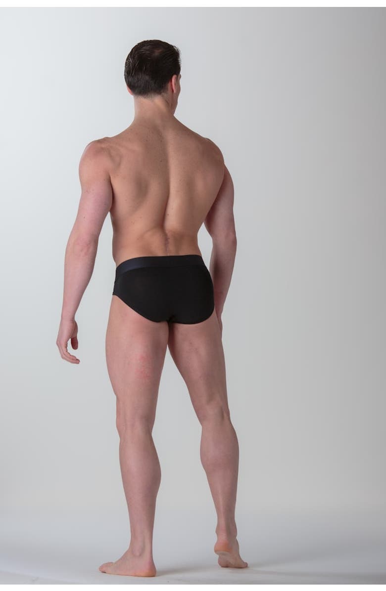 WOH Sexy Fun Mini Briefs, Alternate, color, Black