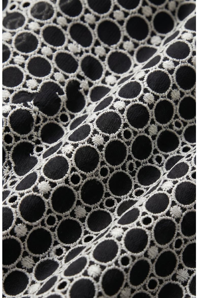 Polka Dot Embroidered Lace V-Neck Tie Waist Dress, Alternate, color, Black