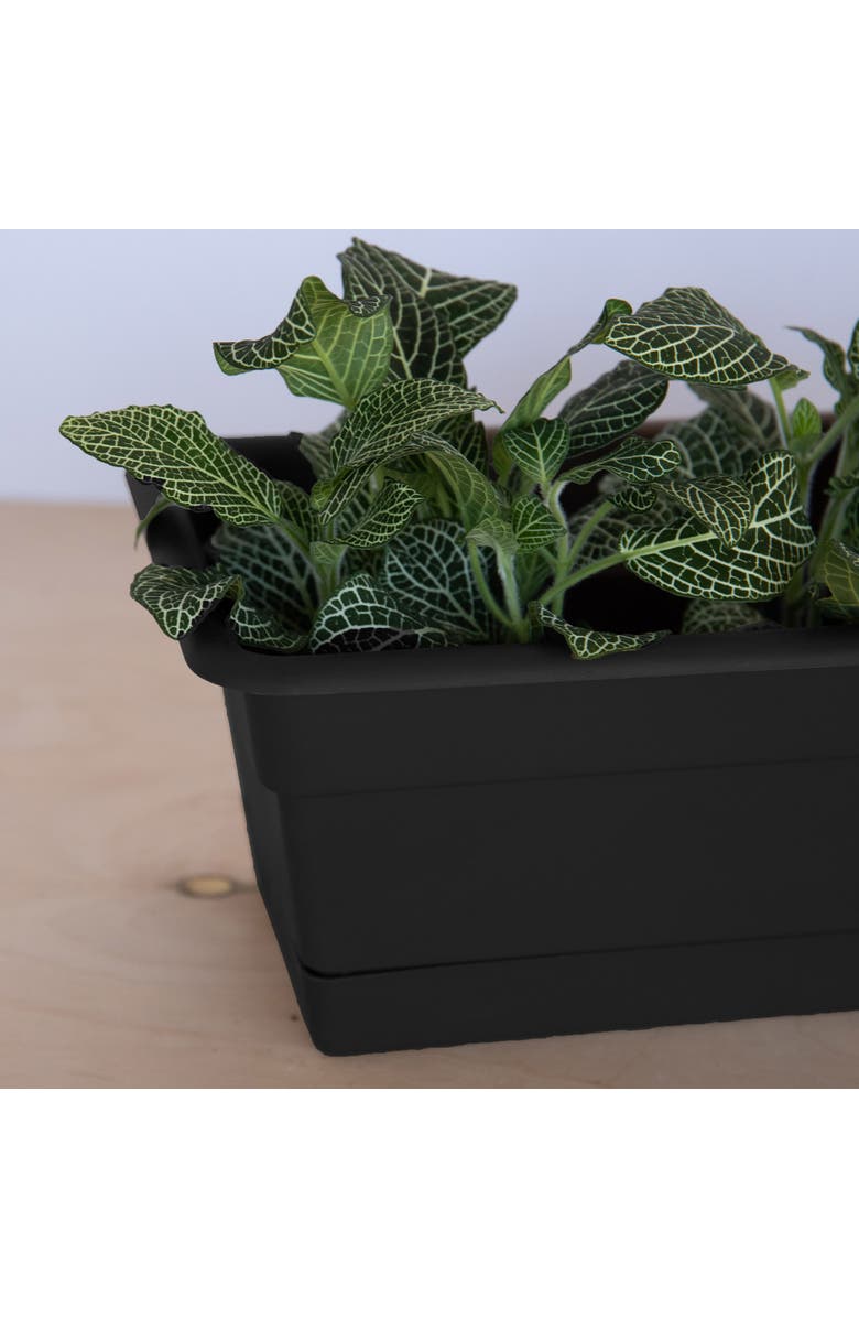 Bloem 18 Inch Dura Cotta Window Box Planter, Black, Alternate, color, Black