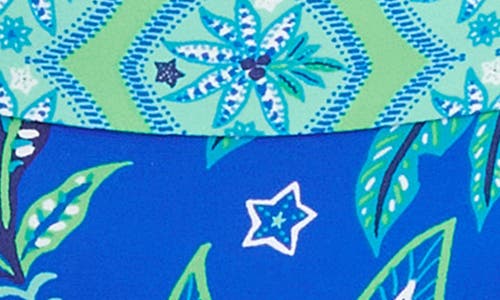 Rod Beattie Desert Bloom Side Tie Hipster Bikini Bottoms In Bleu Multi