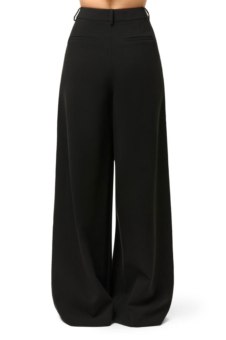 Pleated Wide Leg Pants, Alternate, color, BLACK