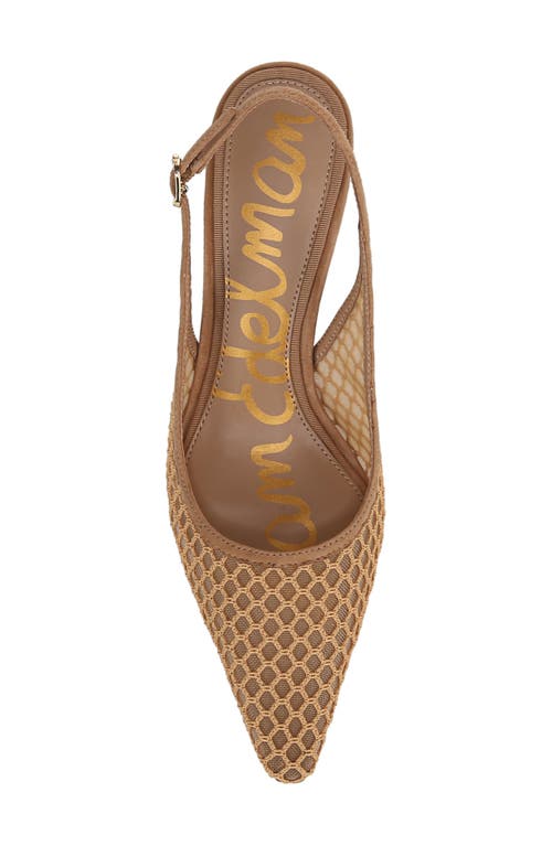 Sam Edelman Bianka Slingback Mesh Pointed Toe Pump In Hazelwood