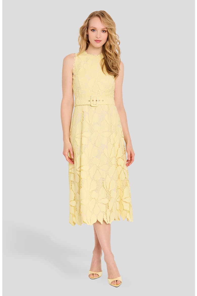 Sleeveless Belted Fit & Flare Dress, Alternate, color, BUTTERCUP