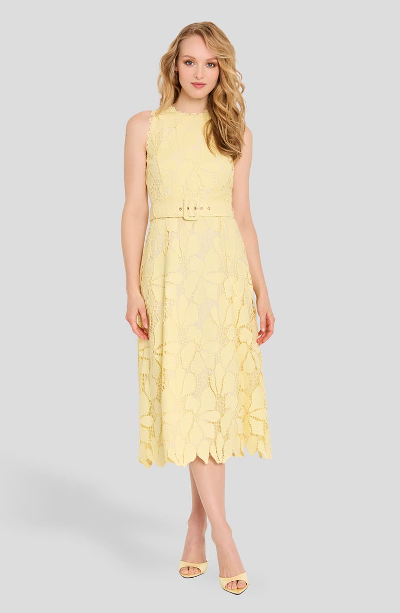 Tahari ASL Sleeveless Belted Fit & Flare Dress, Alternate, color,