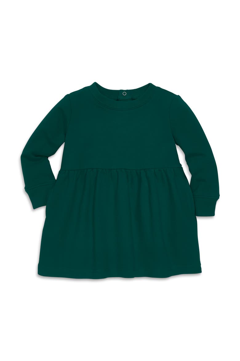Baby Cozy Pocket Dress, Main, color, Ivy