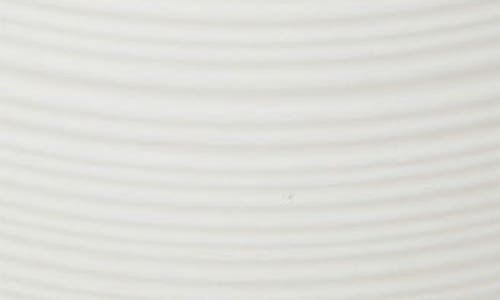Roselli Trading Company Dubai Black Trim Canister In White
