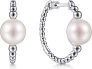 Gabriel & Co. Bujukan Cultured Pearl Hoop Earrings