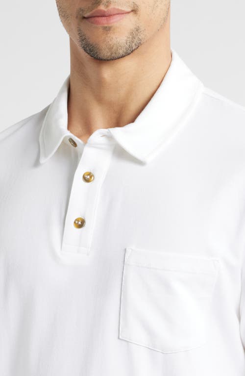 Free Fly Current Performance Polo