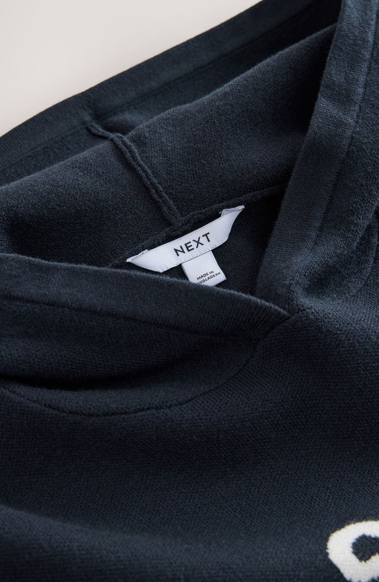 NEXT Intarsia Graphic Sweater Hoodie, Alternate, color, Navy