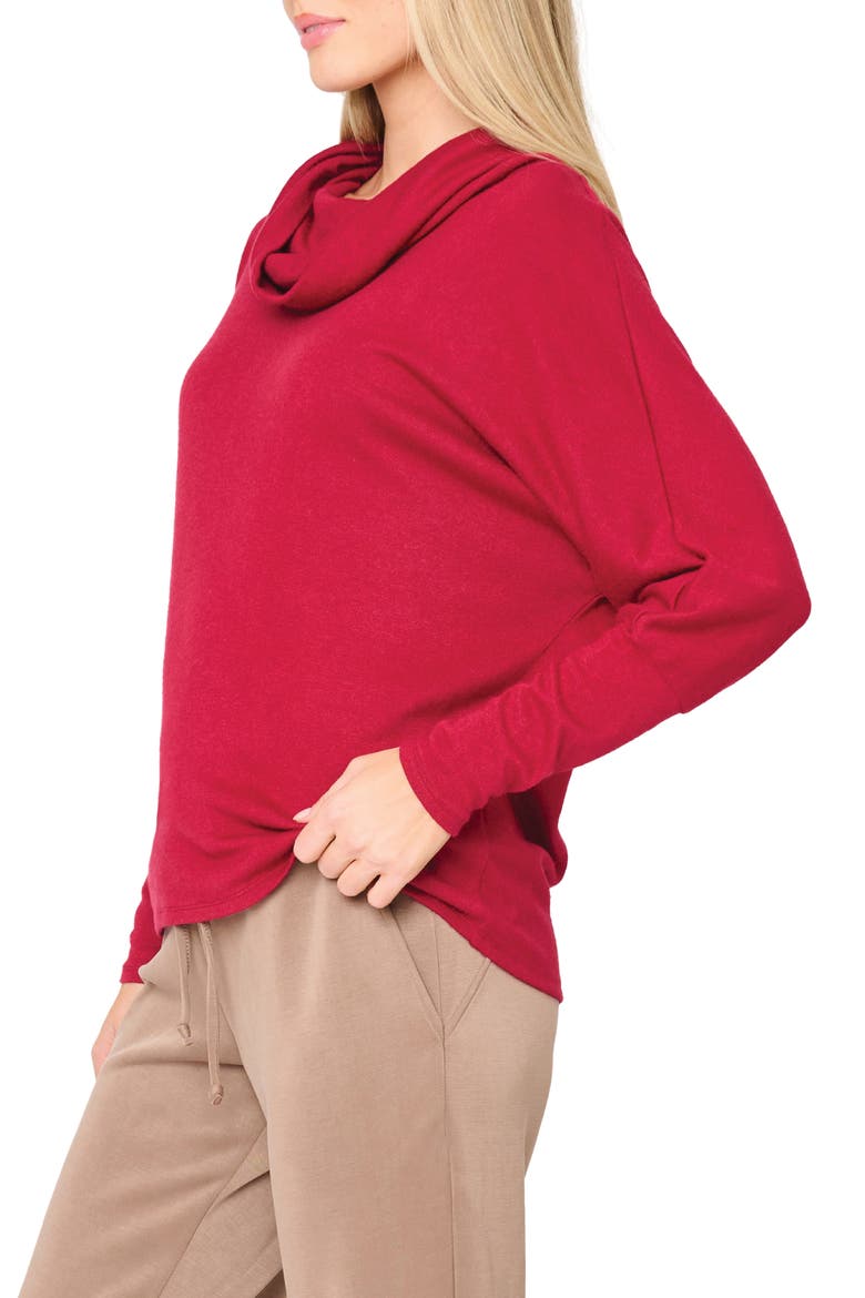 Cozy Up Cowl Neck Sweater, Alternate, color, CRANBERRY