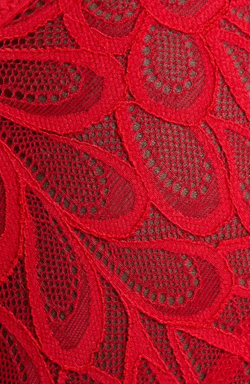 Savage X Fenty Savage Not Sorry Lace Cheeky Panties