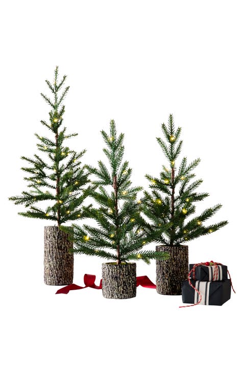 Lit Evergreen Saplings Set of 3 Tabletop Trees