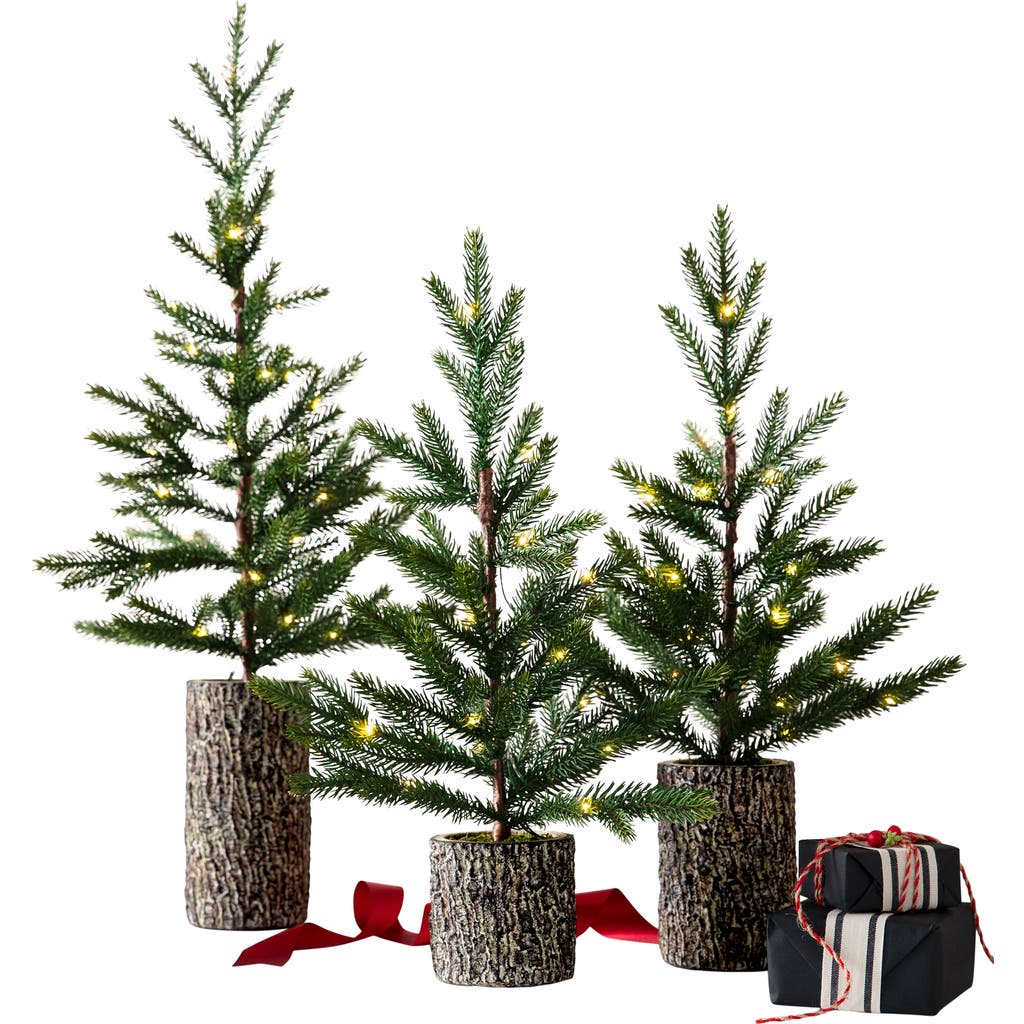 Balsam Hill Lit Evergreen Saplings Set Of 3 Tabletop Trees In Green