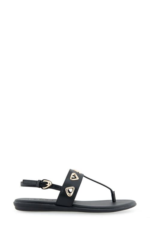 AEROSOLES AEROSOLES IAGO SLINGBACK SANDAL