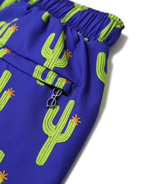 Mosmann Australia Board Shorts In Blue